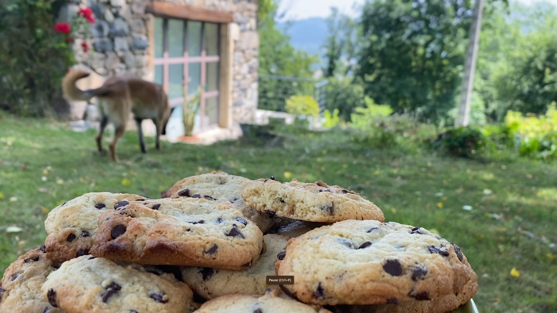 La maison du camp, espace de vie partagé